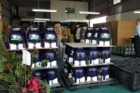 2024工業級【噴霧器】推薦（精緻農業、工廠濕控、大面積加濕）